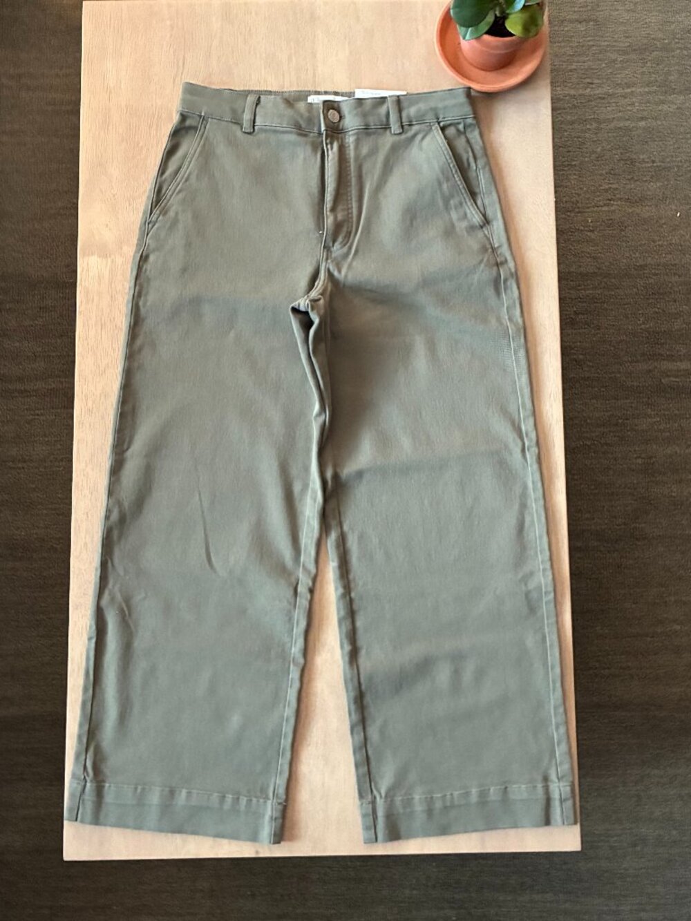 NWT Everlane Utility Wide-Leg Pant Olive Green / Kalamata Sz 10R